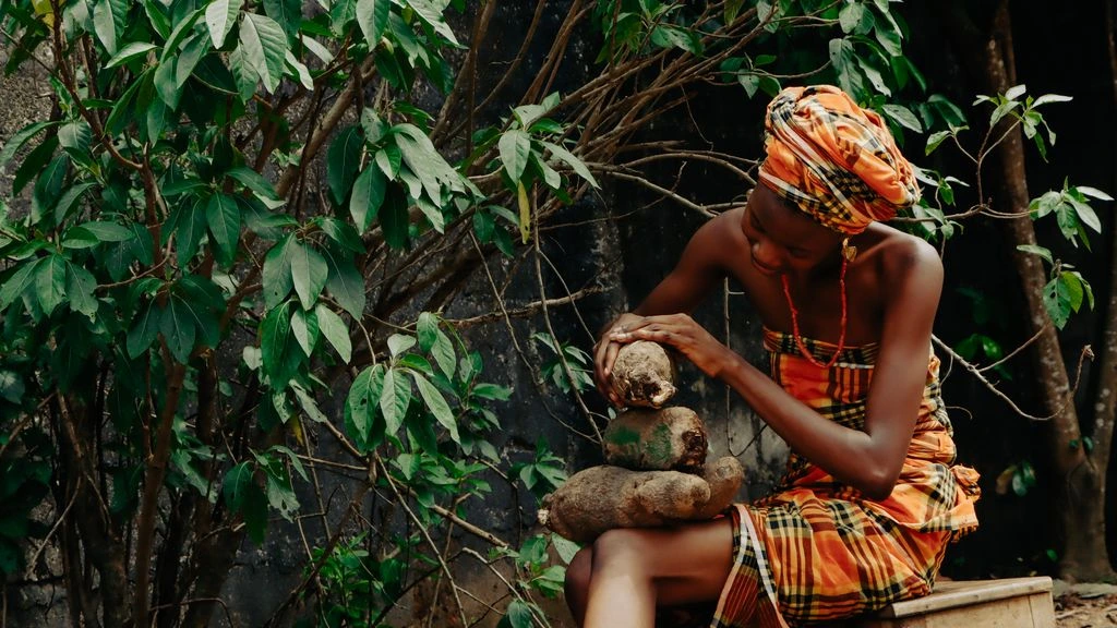 A yam farmer in St. Ann holds a freshly harvested yellow yam at golden hour.